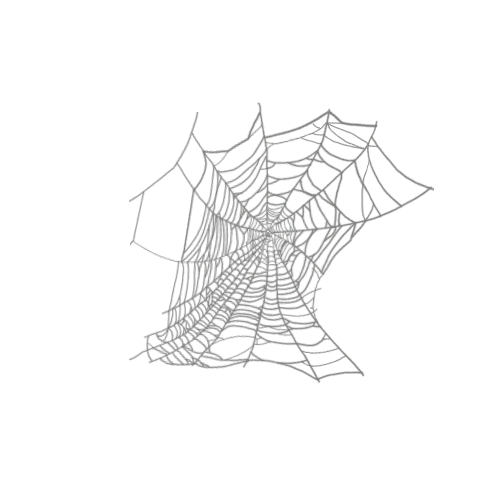 Cobweb 8